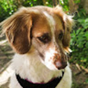 Meet your Posher, Liz